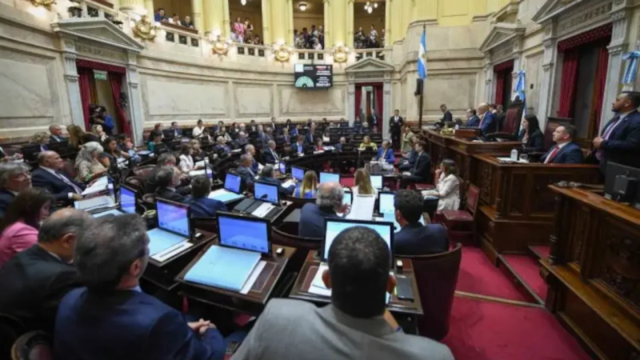El Senado sancionó la suspensión de las PASO de este año