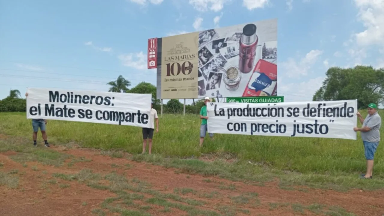 Escala el conflicto, productores responsabilizan a los grandes molineros por la crisis yerbatera
