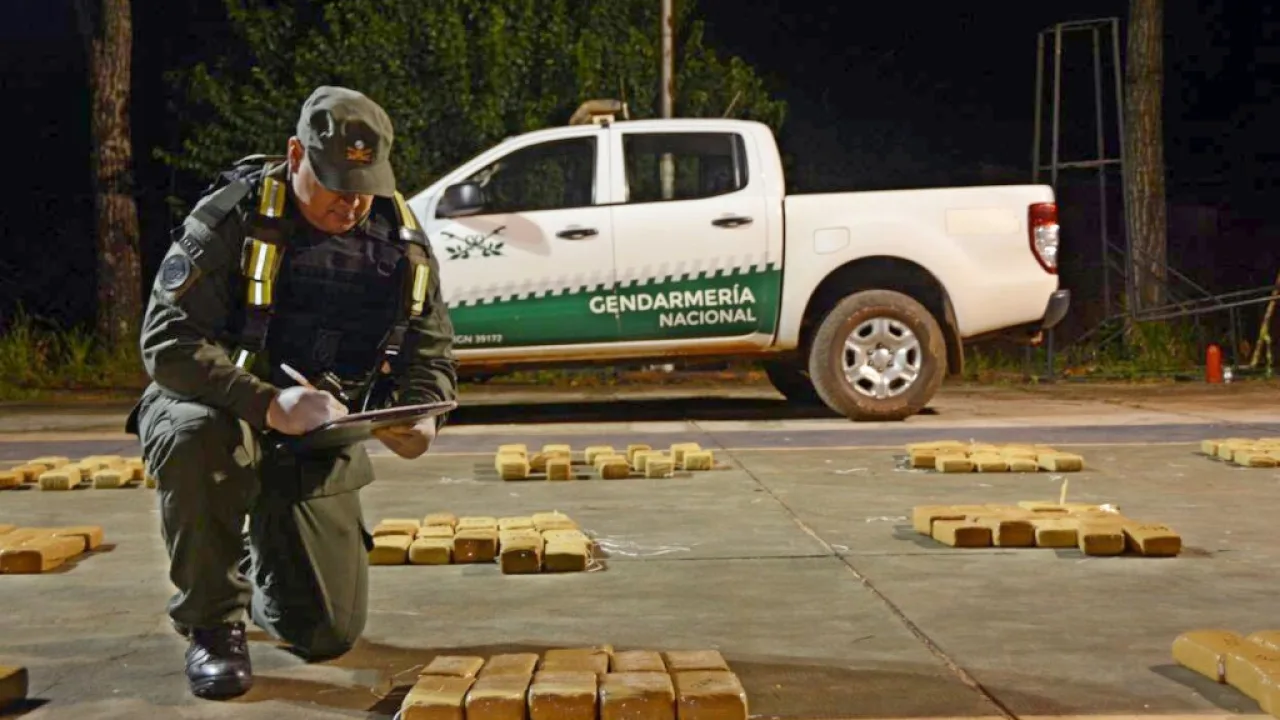 Patrulla de Gendarmería secuestró 510 kilos de marihuana en Colonia Delicia