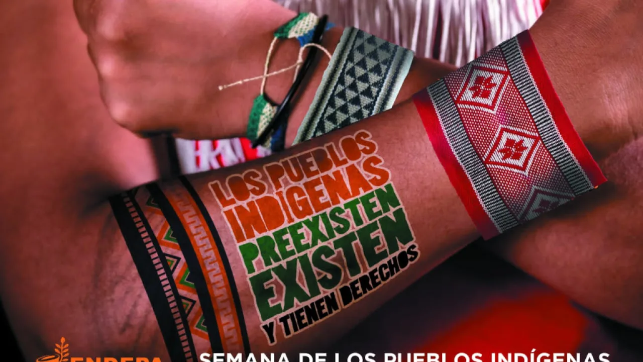 En la Semana de los Pueblos Indígenas, las voces Mbya en defensa de sus derechos