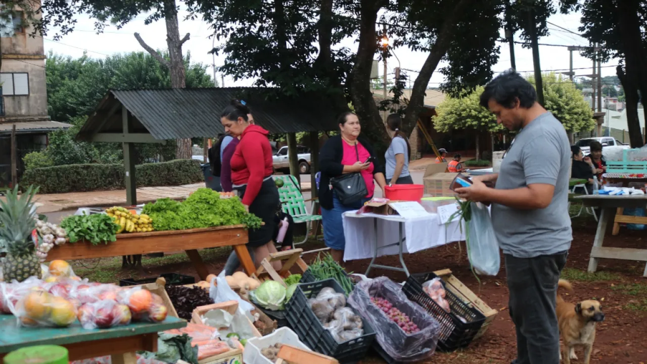 Productores locales y servicios municipales en la plaza del barrio docente
