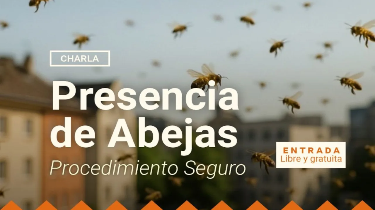 Aprende a convivir con abeja, charla informativa sobre seguridad y respeto ambiental