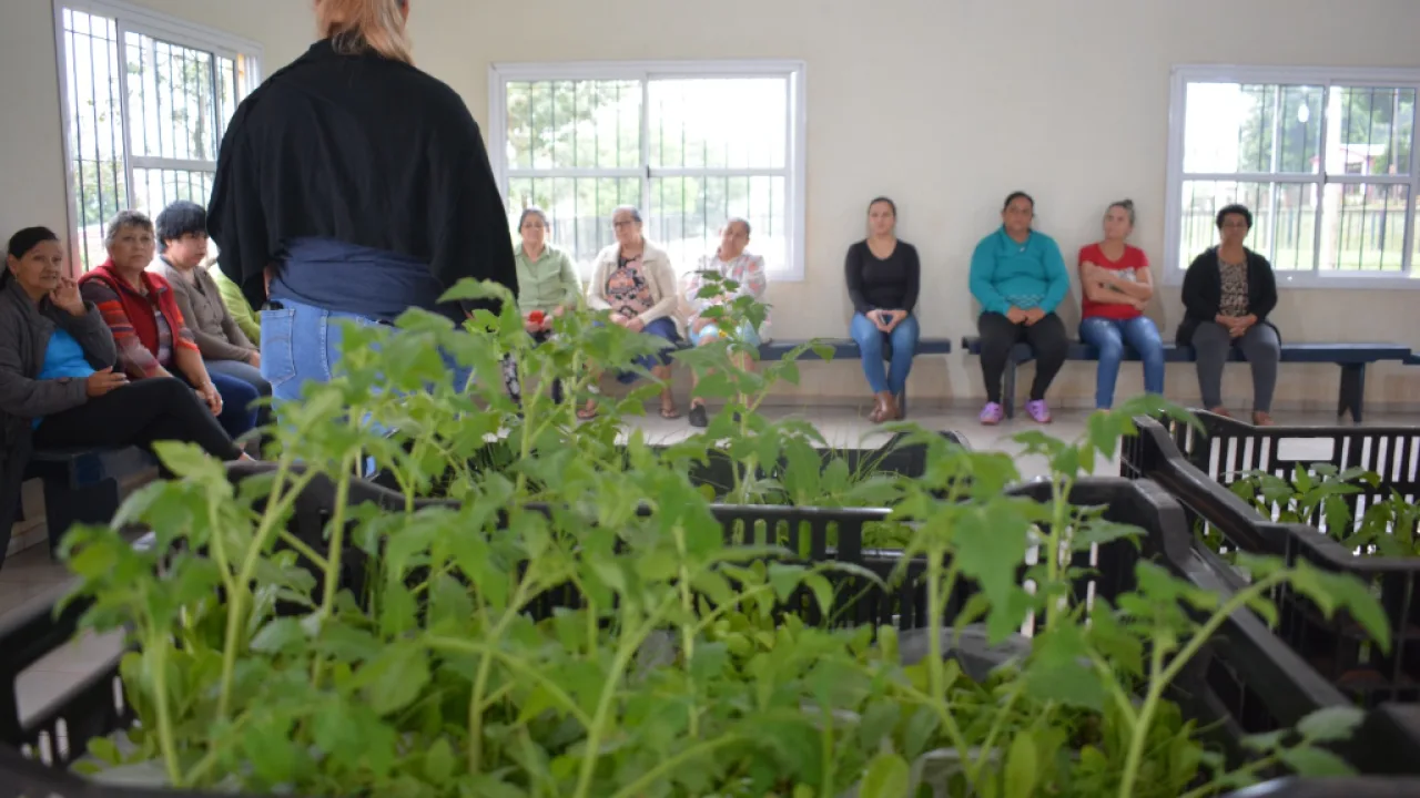 Promoviendo alimentos saludables y huertas comunitarias
