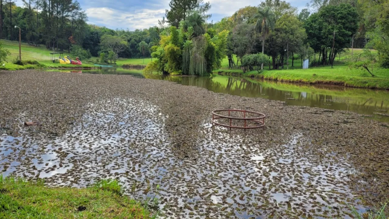 Un nuevo capítulo para el corazón turístico, revitalización del Salto Berrondo
