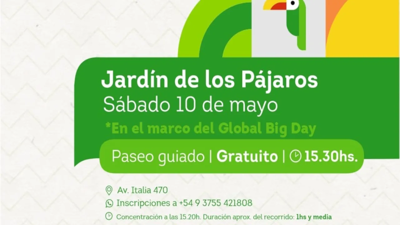 Global Big Day un evento para registrar la mayor cantidad de aves