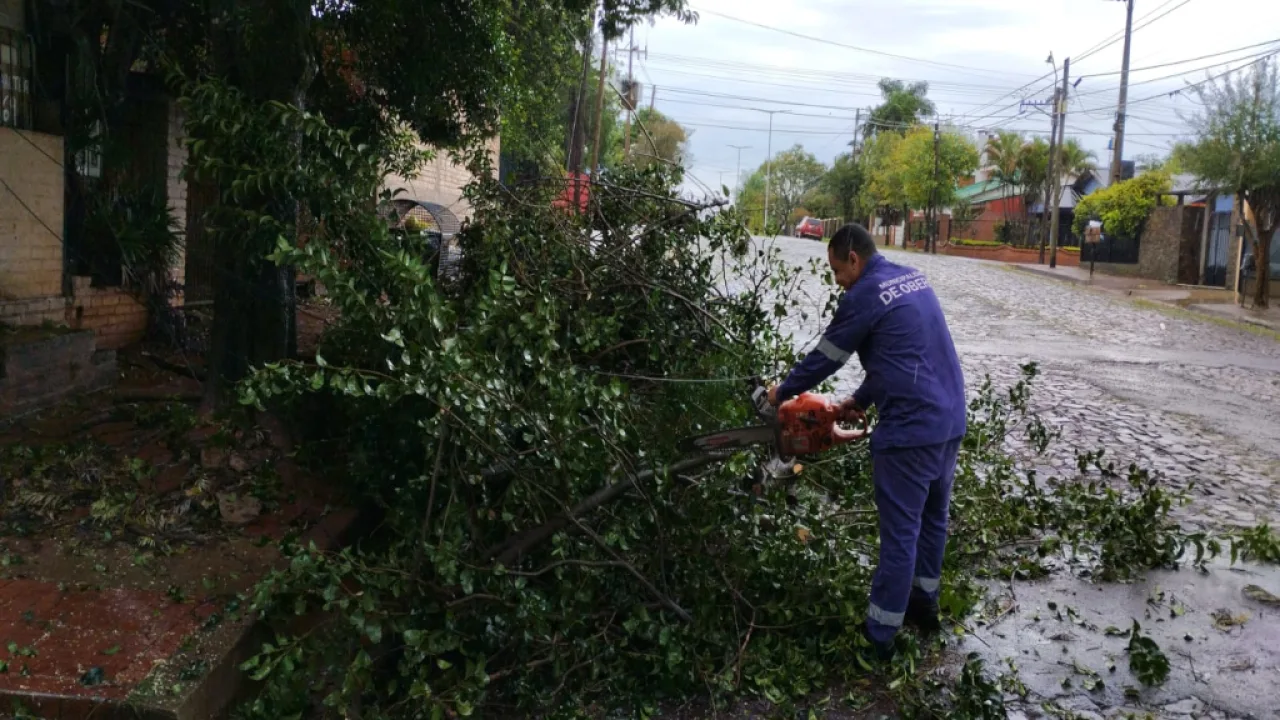 El Gobierno brinda limpieza y asistencia tras la tormenta