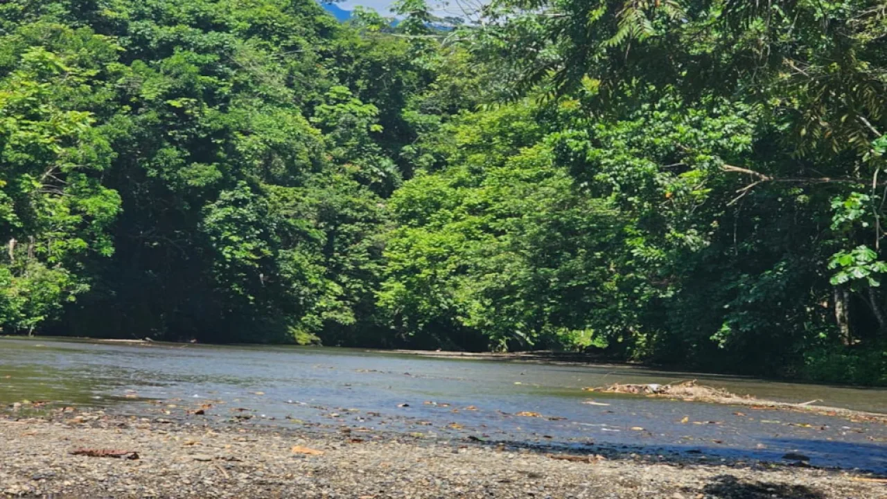 Pueblos Indígenas, guardianes ancestrales del ambiente
