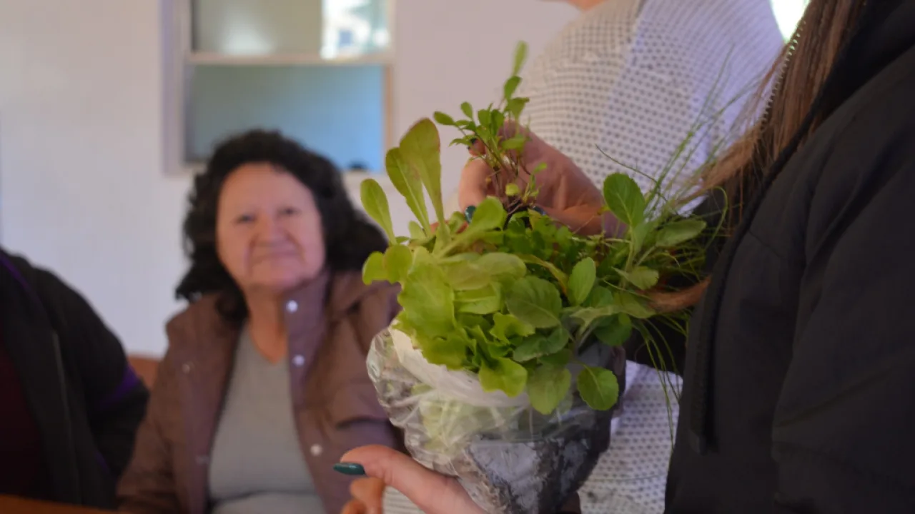 Se entregaron plantines para fortalecer las huertas familiares
