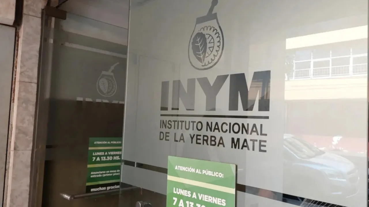 Una diputada nacional correntina de JxC presentó un proyecto para eliminar el INYM