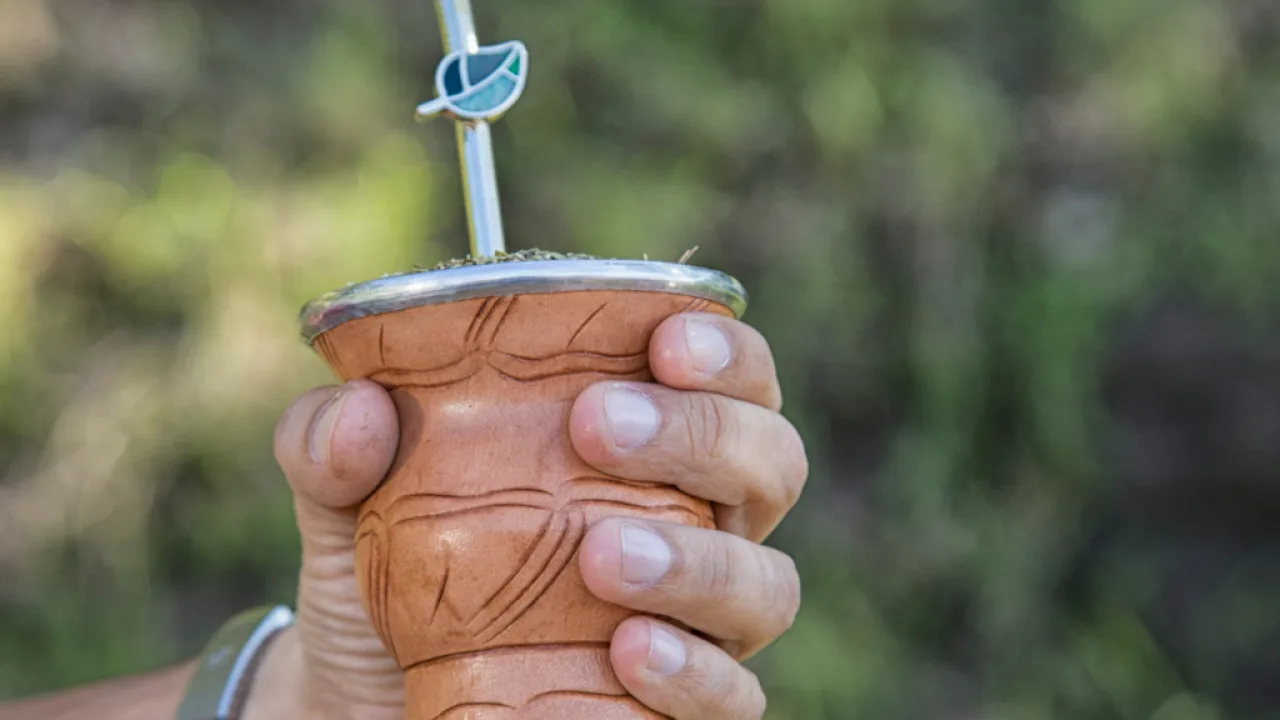 Ventas de yerba mate superaron los 76 millones de kilos el 1er trimestre