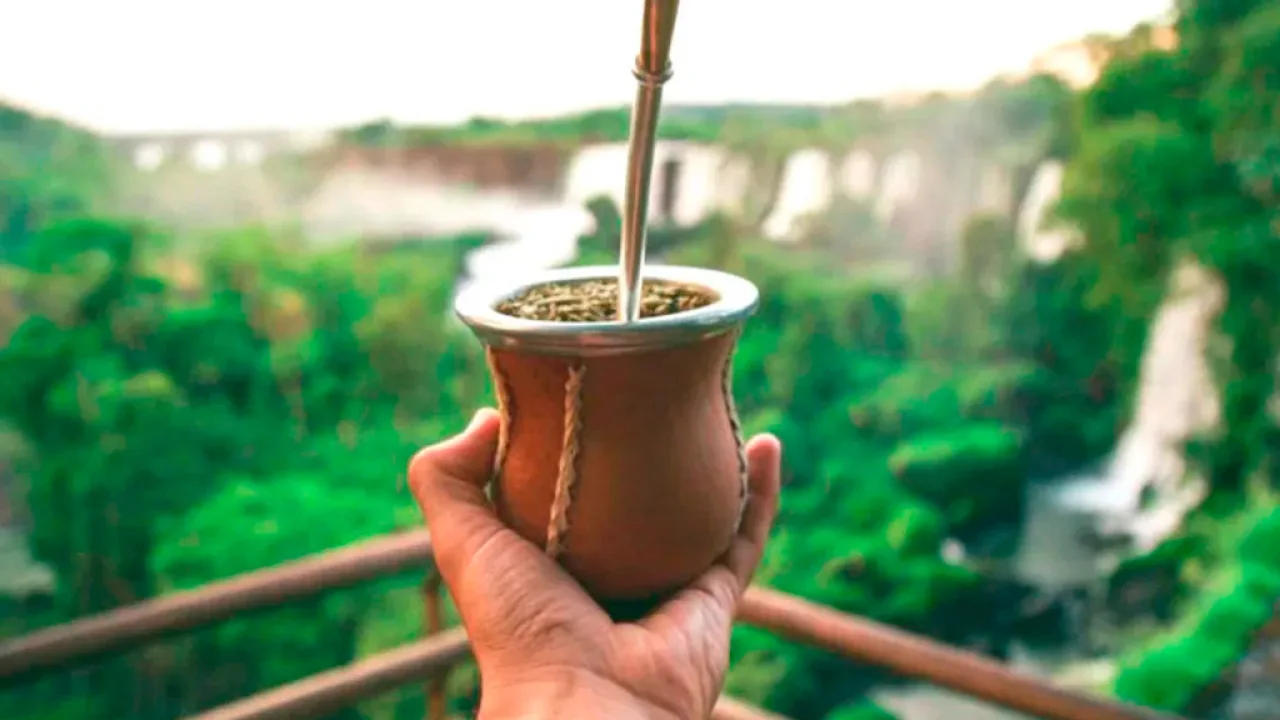 Buscan ampliar las exportaciones de té, yerba mate y madera misionera al mercado norteamericano