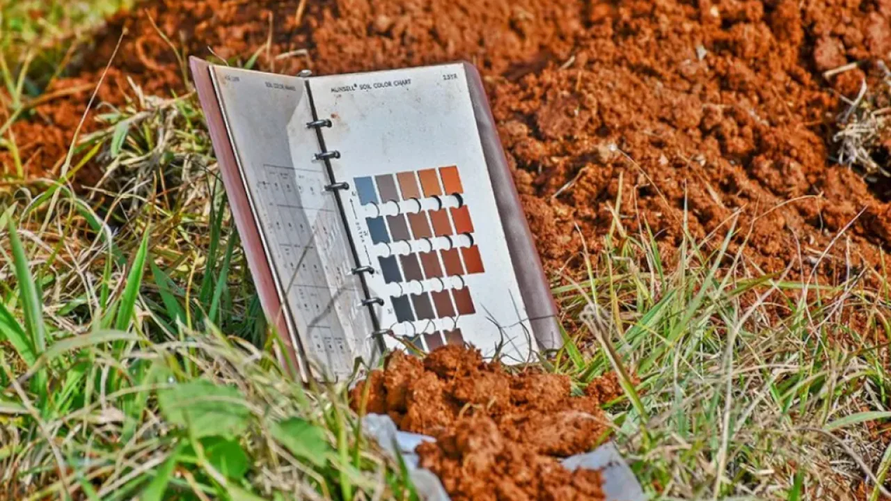 Destacan la importancia de la cubierta verde para conservar y mejorar el suelo misionero