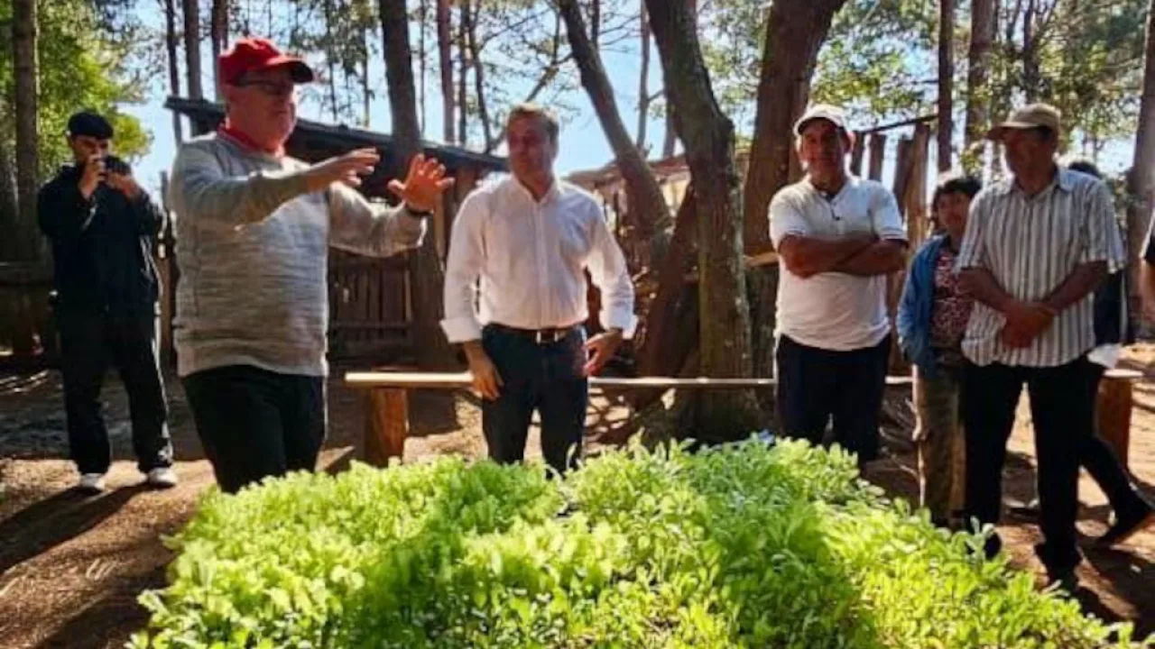 Herrera Ahuad visitó Puerto Libertad acompañando el fortalecimiento de la horticultura local