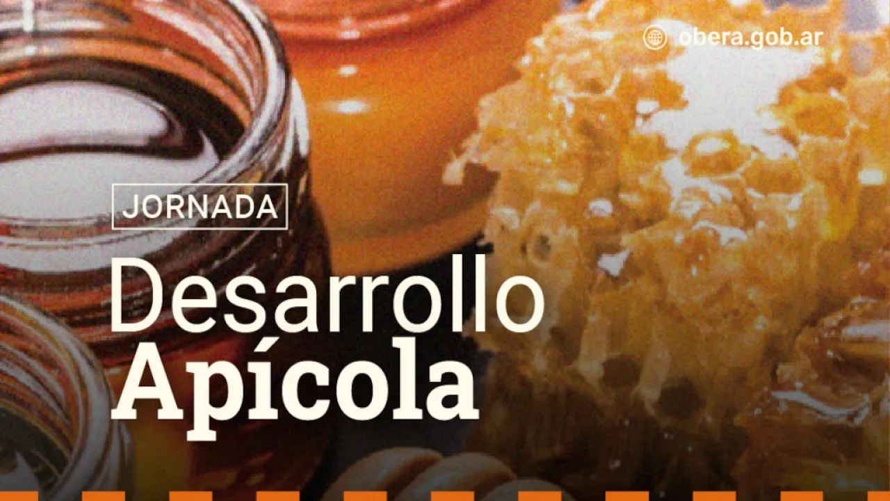 Oberá se prepara para una Jornada de Desarrollo Apícola