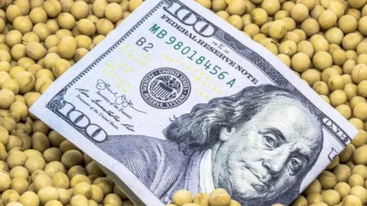 Advierten sobre tres efectos económicos de la eliminación temporal de retenciones al agro