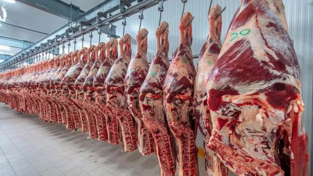 Estados Unidos cuadruplicó la cuota para importar carne vacuna argentina