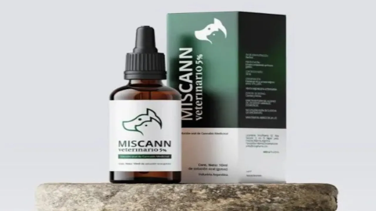 MisCann, el desarrollo que convertirá a Misiones en pionera del cannabis medicinal de uso veterinario