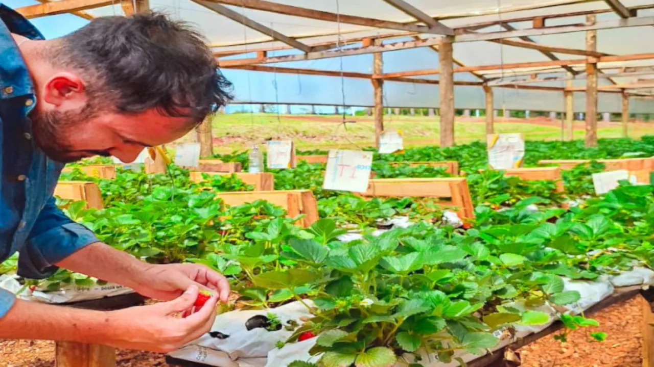 Misiones avanza en la planificación de la campaña hortícola 2026