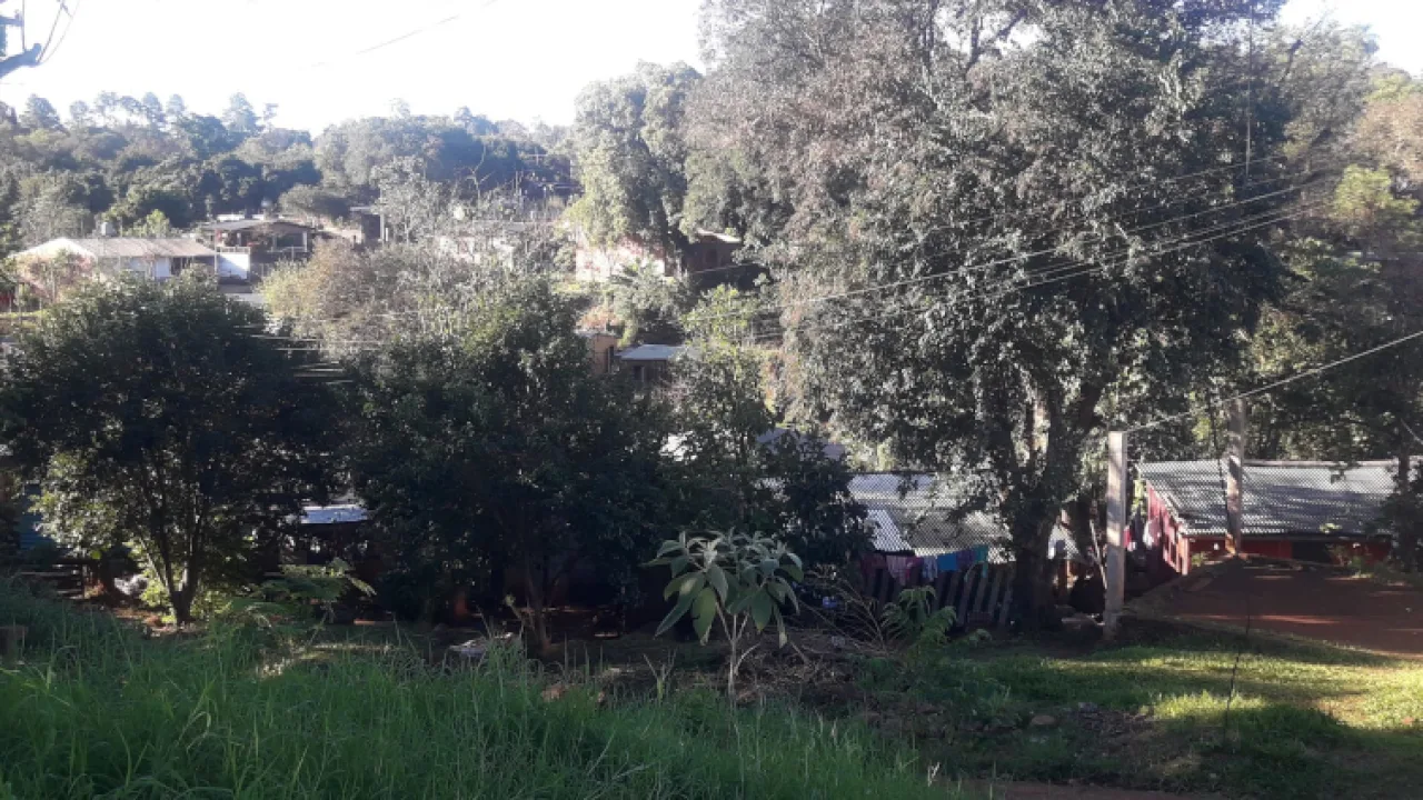 "La gente está enojada con la política", Celia Soria advirtió que el retiro del Estado dejó los barrios a la deriva