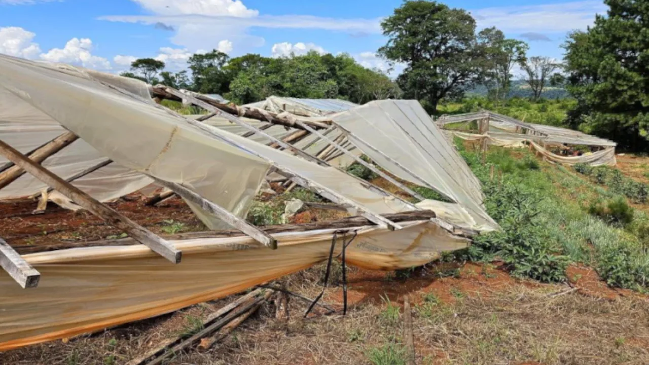 Asistencia directa y técnica a productores afectados por el clima en Aristóbulo del Valle