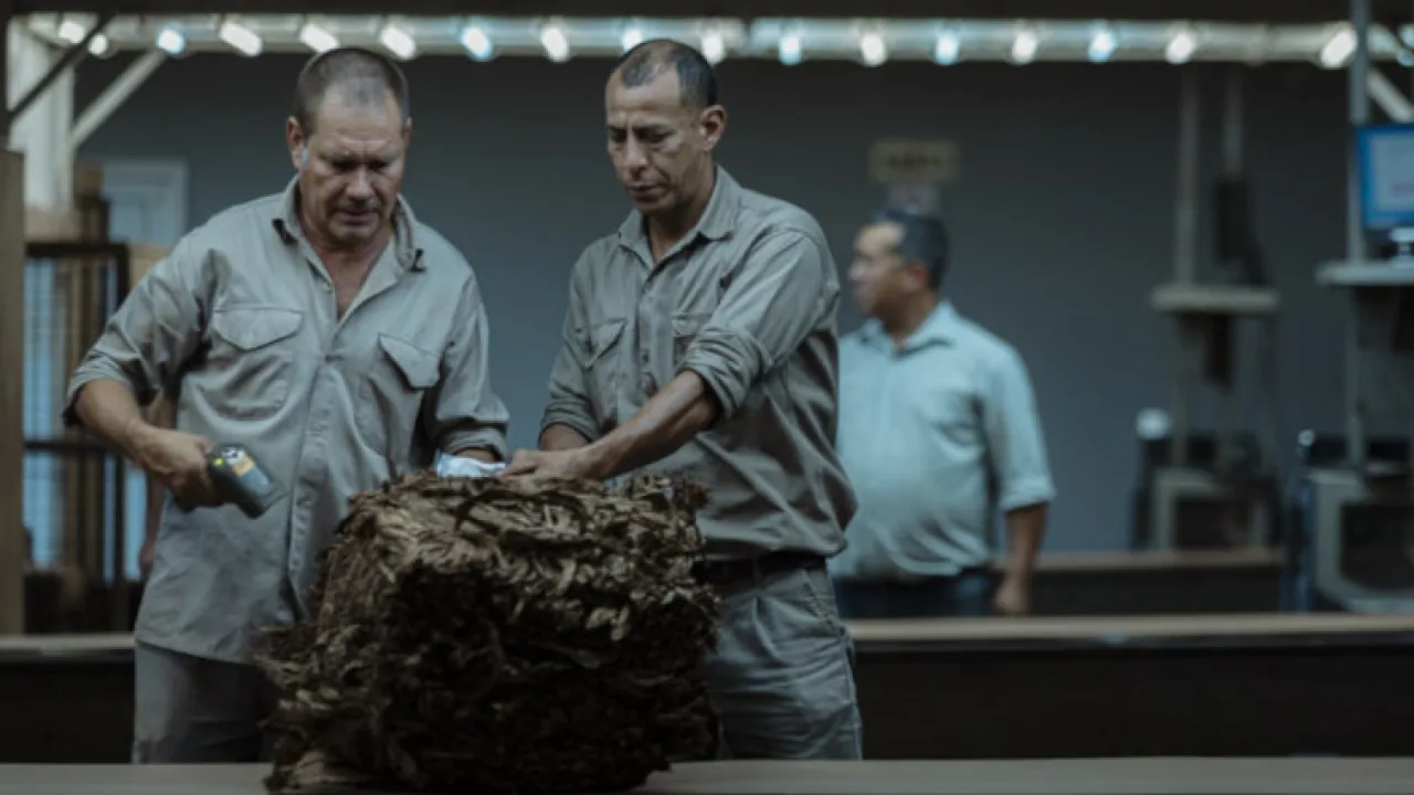 Misiones fijó el precio del tabaco con un acuerdo que fortalece la cedena productiva