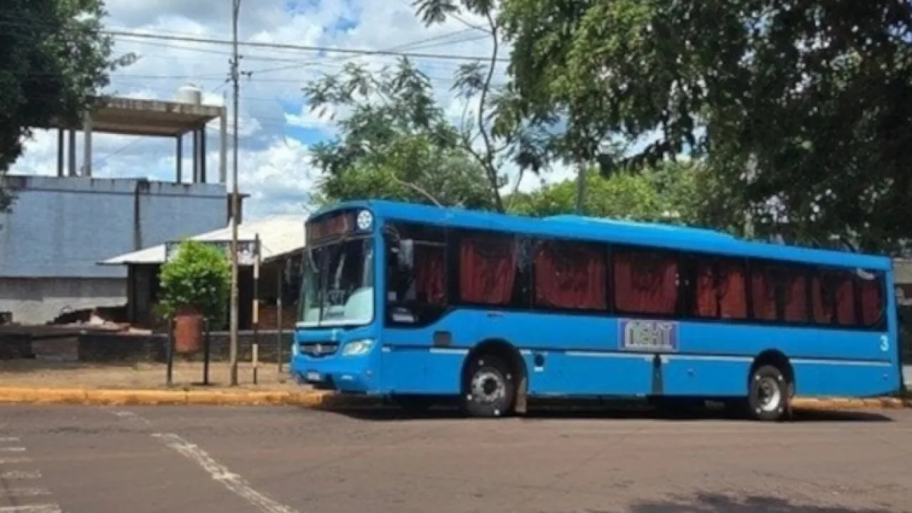 Ante la falta de respuestas en el Transporte Público de Pasajeros lanzan una petición online para exigir frecuencias regulares