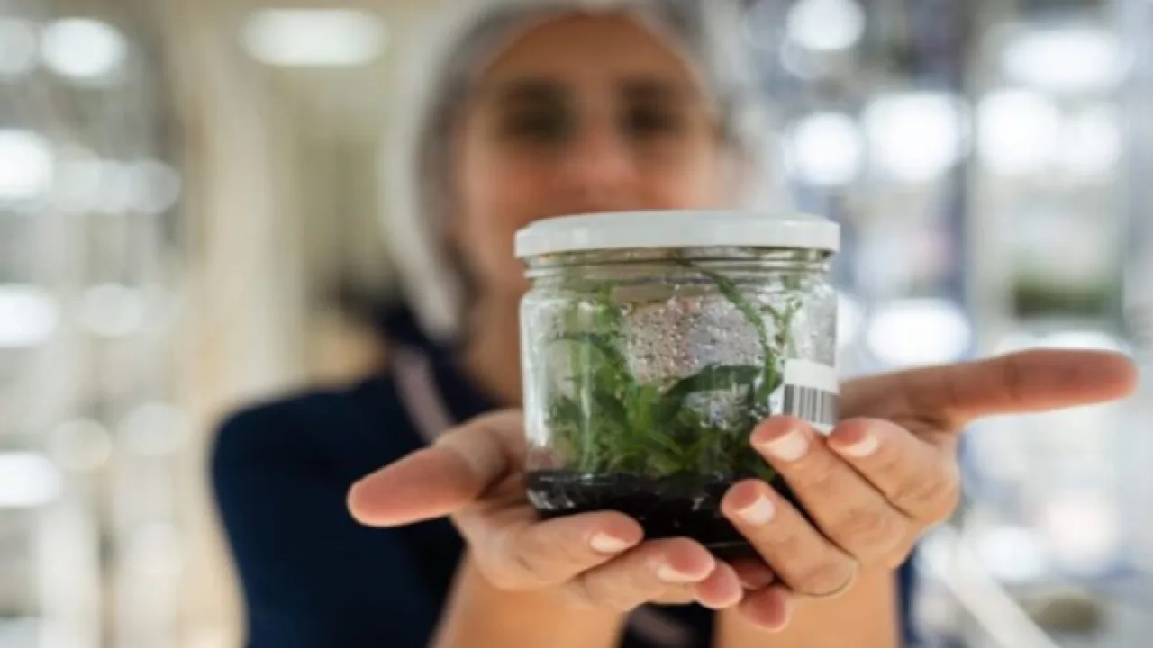 El Gobierno de Misiones puso en marcha una nueva etapa de crecimiento en la Biofábrica
