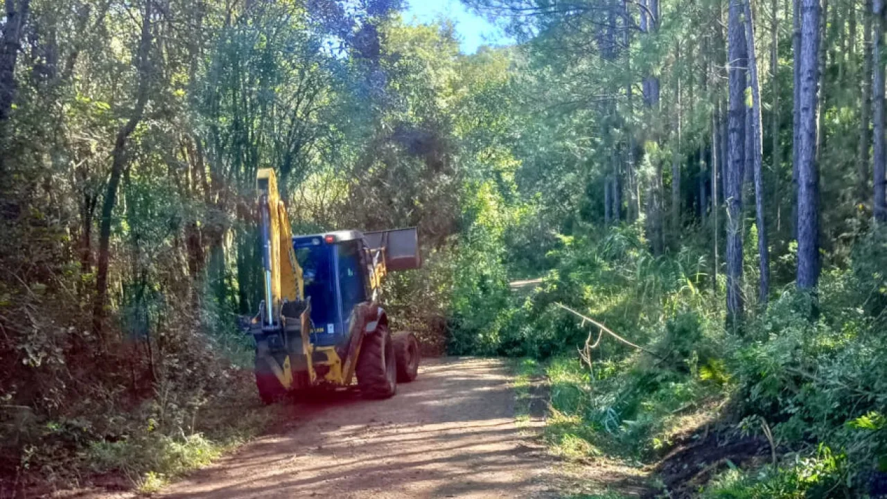 Tareas de limpieza y mantenimiento en los caminos vecinales de Alberdi