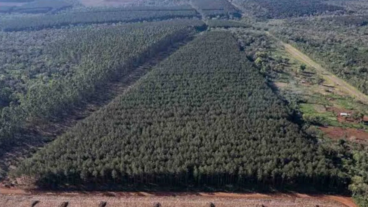 Tierra en venta, lo que EE.UU. controla y lo que la Argentina de Milei quiere liberar