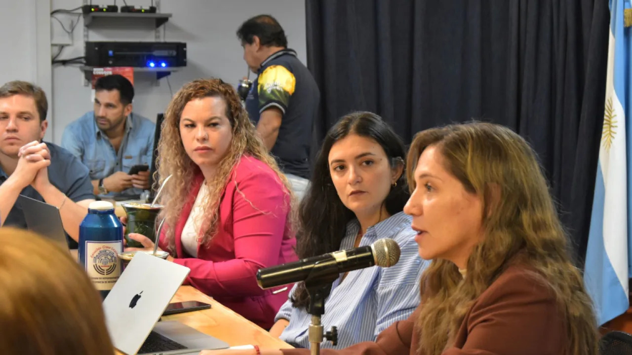 La Legislatura recibió a una capacitadora en reforma procesal penal para analizar los cambios propuestos al Código