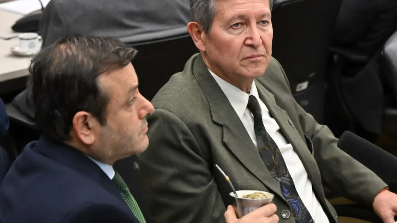 Herrera Ahuad logró incorporar al dictamen medidas clave para sostener el sistema de discapacidad