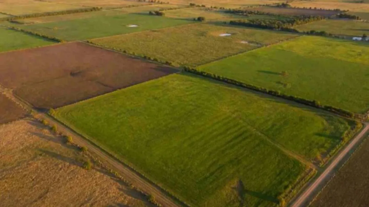 Ley de Tierras, la Justicia rechazó la cautelar pedida por Pichetto