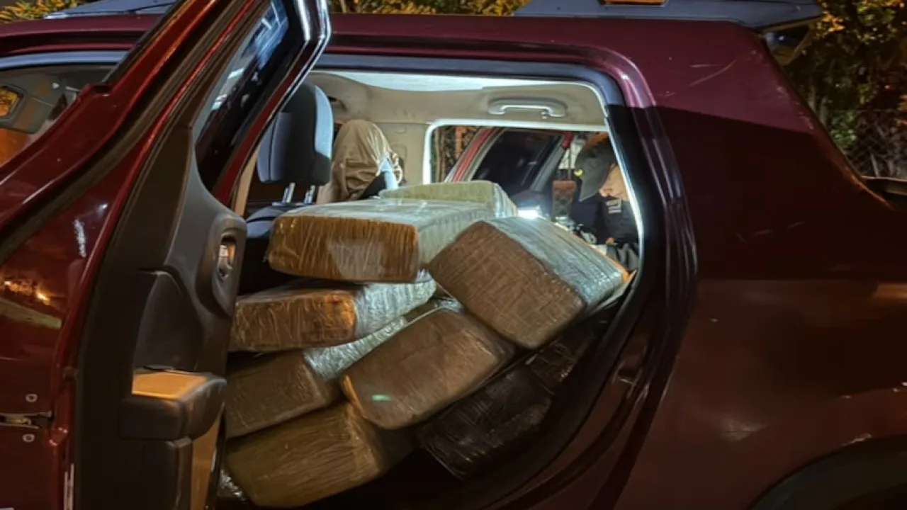 Golpe al narcotráfico en Oberá, incautan 750 kilos de marihuana y avanzan sobre la red criminal